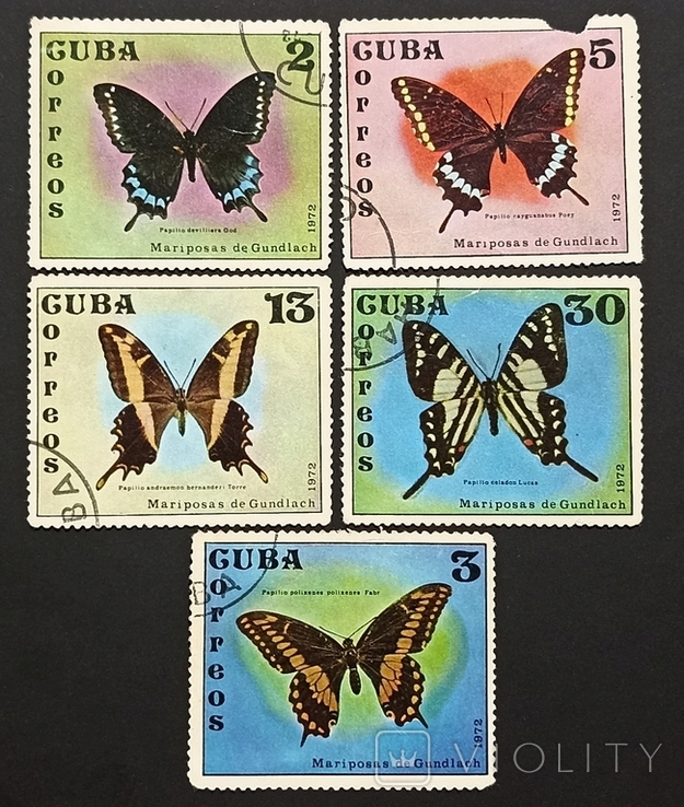 Бабочки, Куба 1972, фото №2