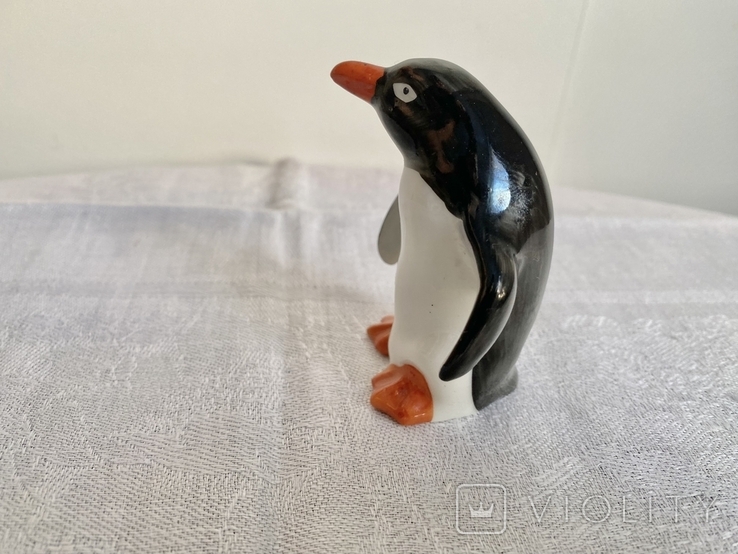 Пінгвін, фото №3