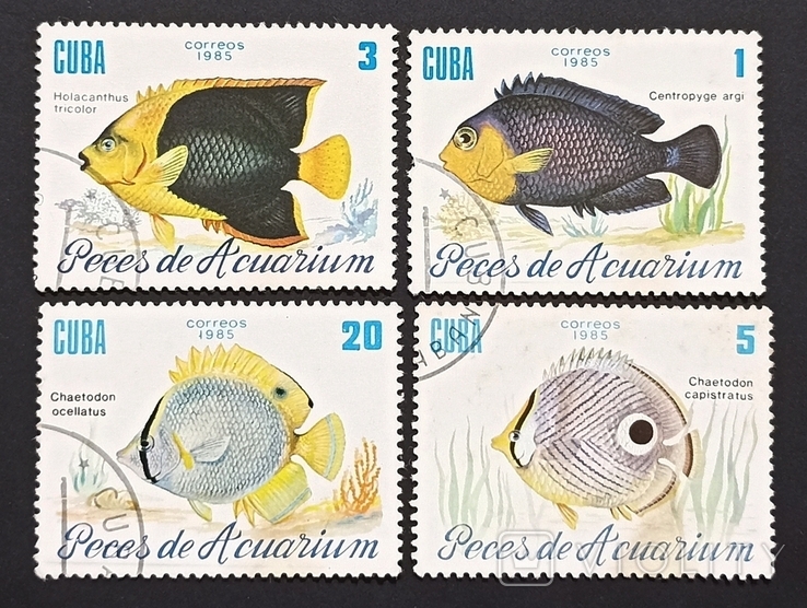 Рыбки, Куба 1985, фото №2