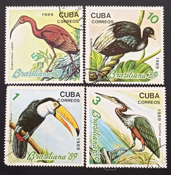 Птицы, Куба 1989, фото №2