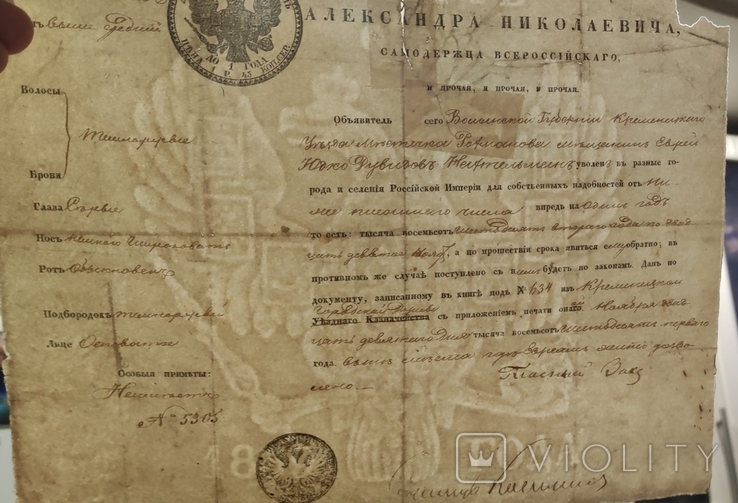 Старинный паспорт периода правления Александра II ( бланк образца 1859 года )., фото №10