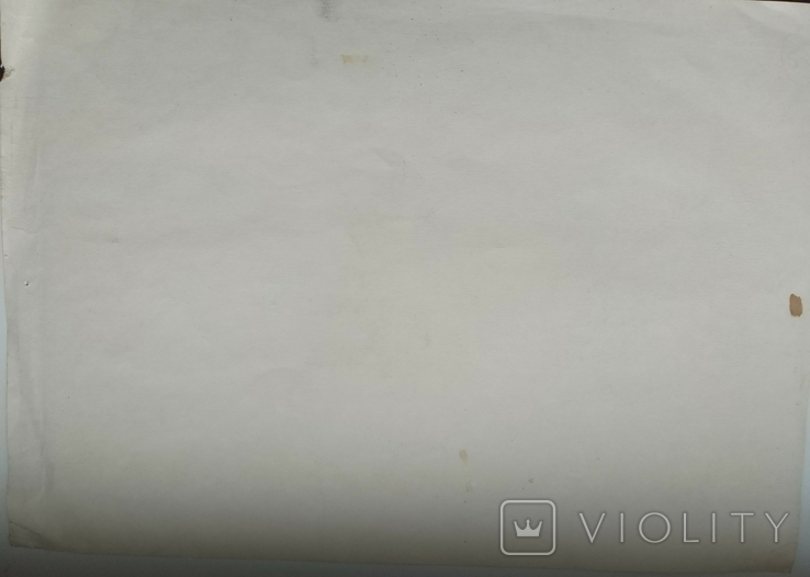1976 р. Павлюк А.Г. Дівчинка з косою, папір олівець 41.5Х29.5 см, фото №3