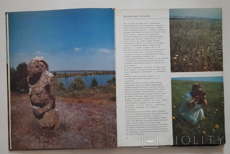 Верни долг природе фотоальбом Киев 1990 г., фото №3
