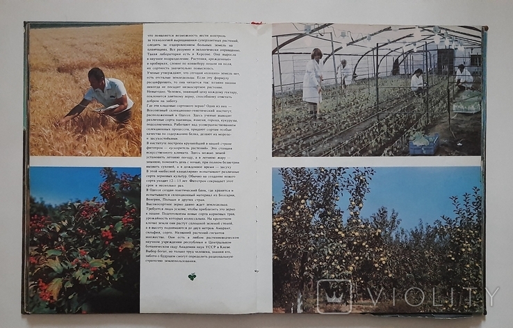 Верни долг природе фотоальбом Киев 1990 г., фото №4