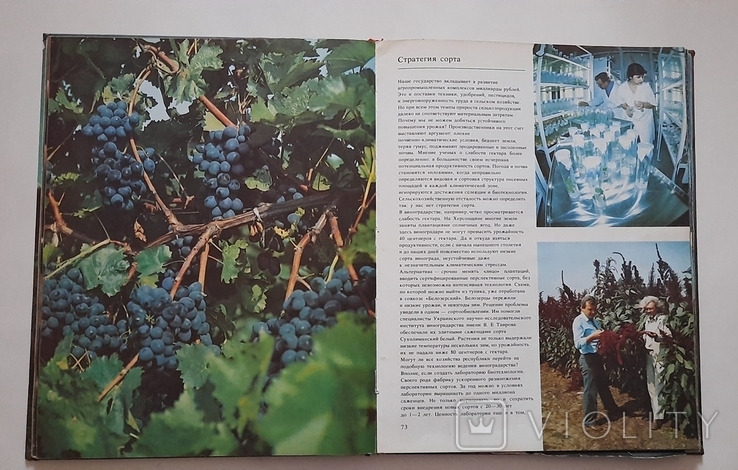 Верни долг природе фотоальбом Киев 1990 г., фото №8