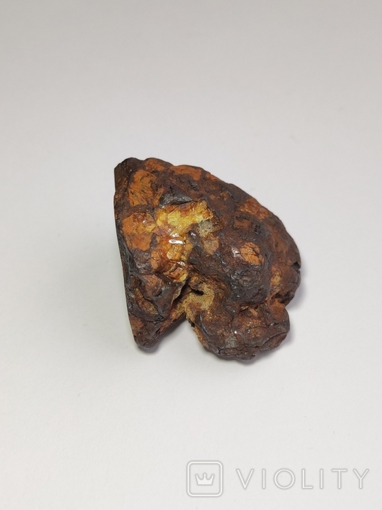 Метеорит Sericho, 39,70 грам, фото №2