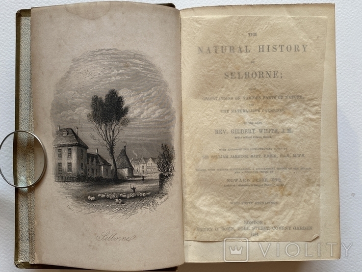Природнича історія. Gilbert White. The Natural History of Selborn, London 1854, гравюри, фото №3