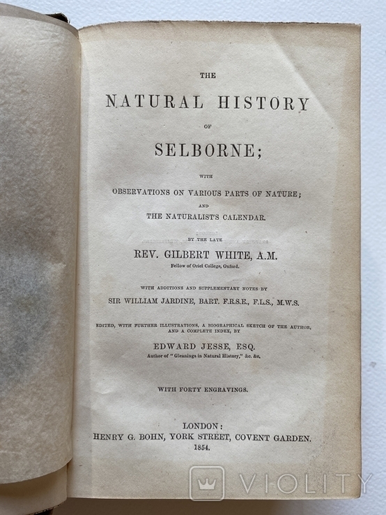 Природнича історія. Gilbert White. The Natural History of Selborn, London 1854, гравюри, фото №6