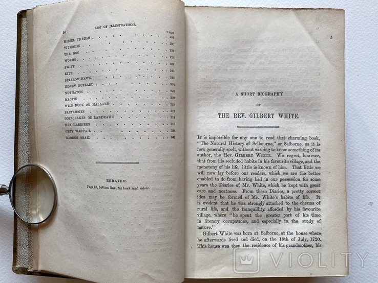 Природнича історія. Gilbert White. The Natural History of Selborn, London 1854, гравюри, фото №7