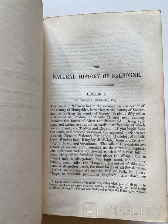 Природнича історія. Gilbert White. The Natural History of Selborn, London 1854, гравюри, фото №8