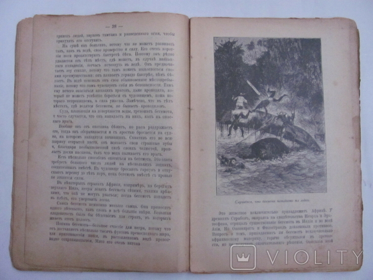 Луи Жаколио "Берегъ Слоновой Кости",изд.П.П.Сойкина,1910, фото №6