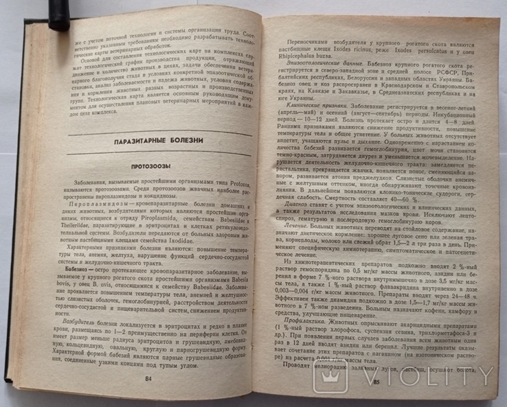 Довідник з хвороб жуйних тварин. Тир. 15 000 примірників. 352 с., фото №7