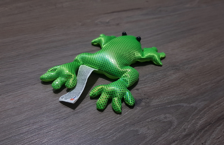 Лягушка зелёная жаба, photo number 5