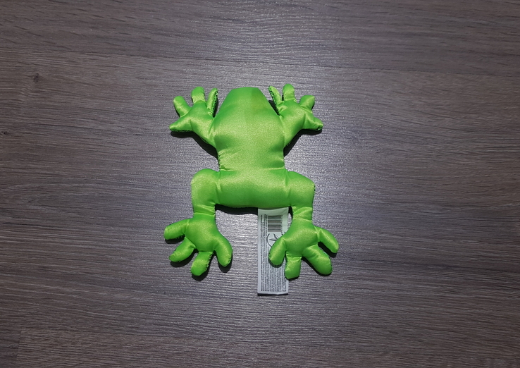 Лягушка зелёная жаба, фото №6