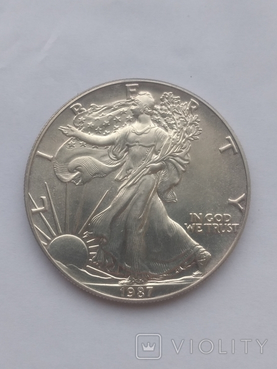 Один доллар США (Шагающая Свобода), фото №2