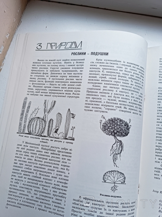 Діаспора. Журнал. Юнак. Пласт. 1974, фото №12