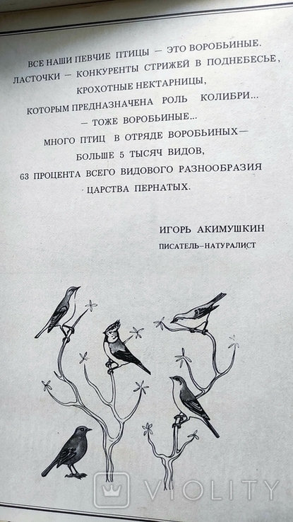 Набор спичек СССР "Певчие птицы", фото №5