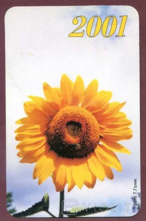 Флора квіти преса газета соняшник, фото №2
