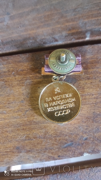 Медаль за успехи в народном хозяйстве СССР, фото №4