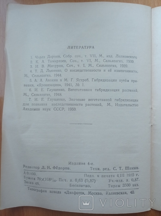 Вегетативні гібриди томатів муляж РСФСР 1955 р., фото №4