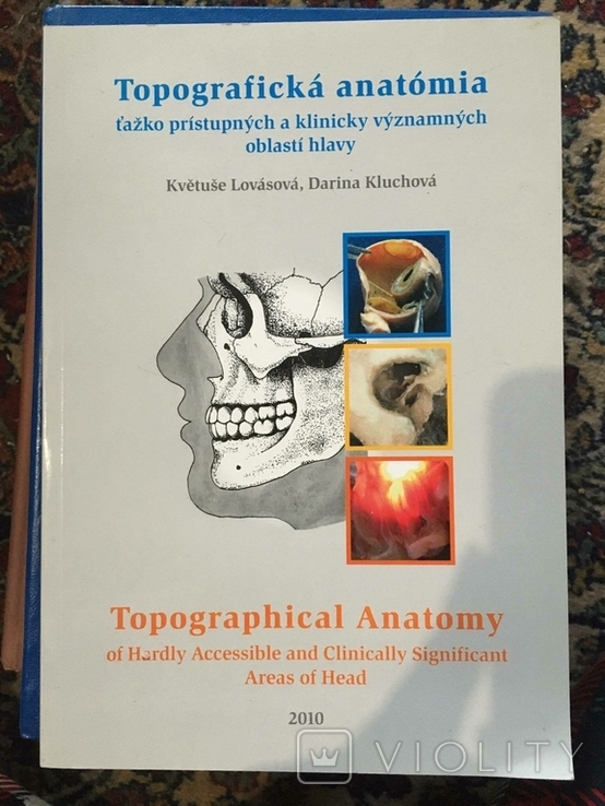 Топографічна анатомія голови - словацька, англійська, фото №2