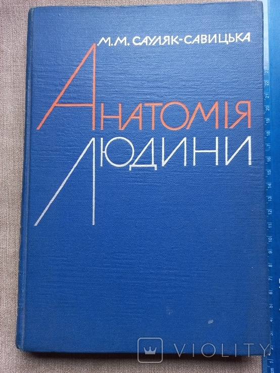 М.М.Сауляк-Савицька Анатомія людини, фото №2