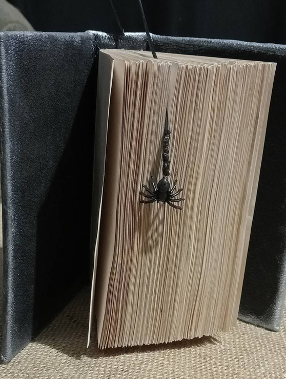 Готичний чорний блокнот з павуками, фото №3