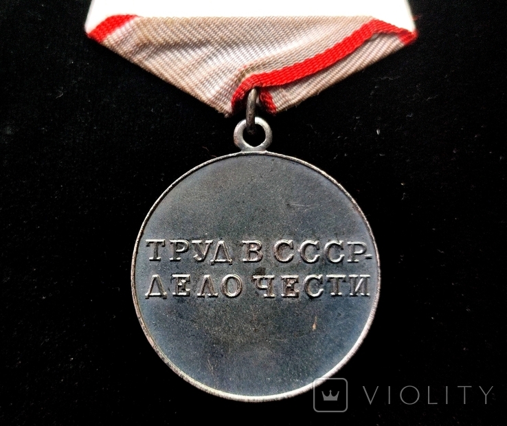 Медаль За трудовую доблесть, фото №4
