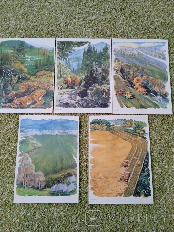 Набір плакатів Природа рідного краю 1988 рік., фото №6