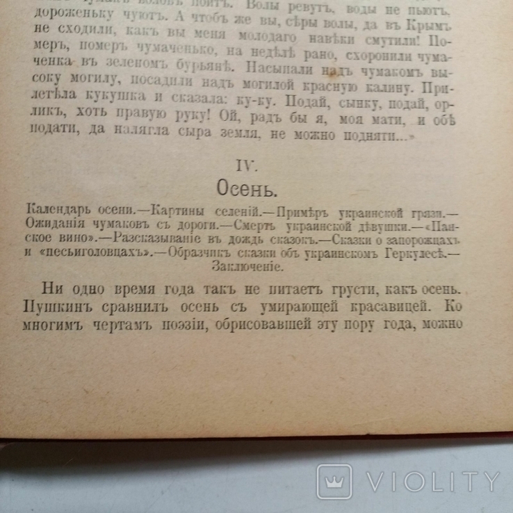 1856 р. Звичаї українських чумаків, фото №8