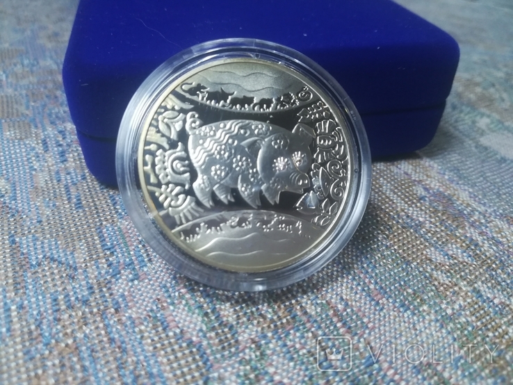 Серебряная монета Год Кабана,5гр.,2007 год. Футляр + сертификат., фото №5