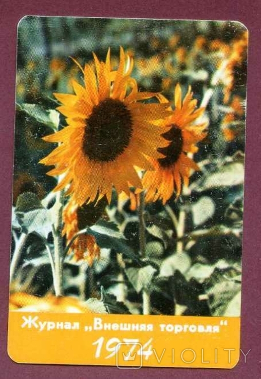 Зовнішторг пластик флора квіти преса журнал, фото №2