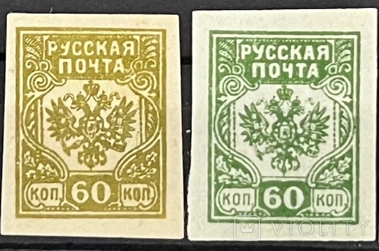 Гражданская война. русская почта 60коп б/з (вариации) 1919*