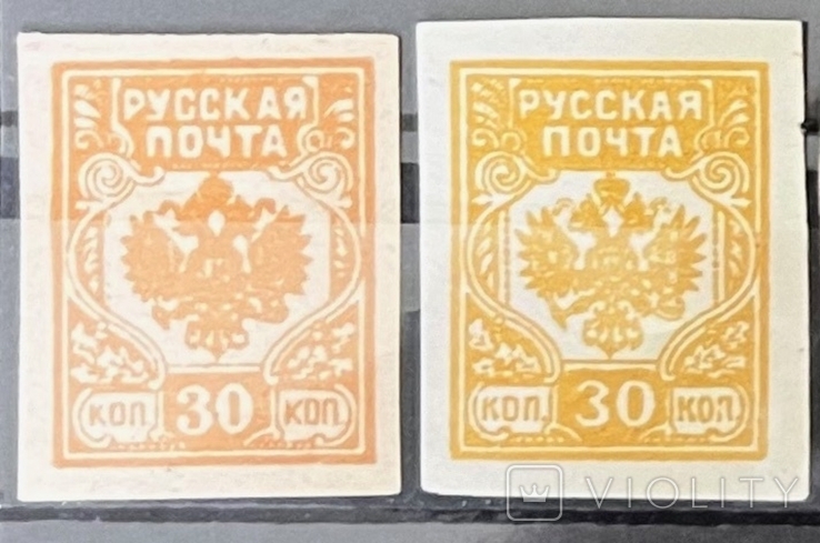 Гражданская война. русская почта 30коп б/з (вариации) 1919*