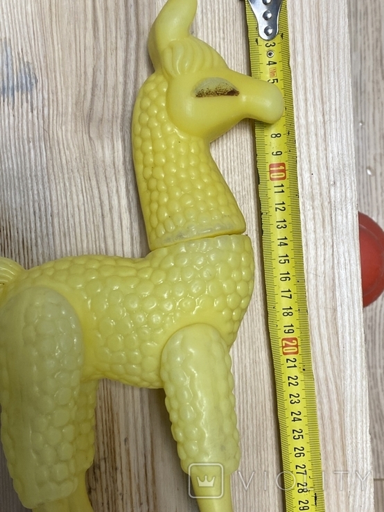 Жирафа, фото №4