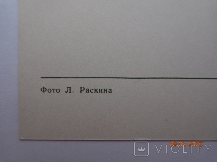 Вітальна листівка "З Новим роком!" (фото Л. Раскіна, 1971), чистий, фото №5