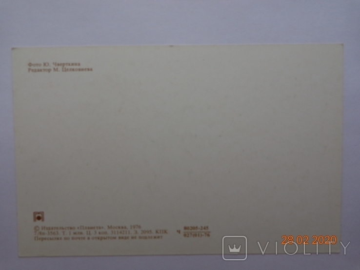 Вітальна листівка "З Новим роком!" (фото Ю. Чверткіна, 1976, 1 млн. шт.), нетто, фото №3