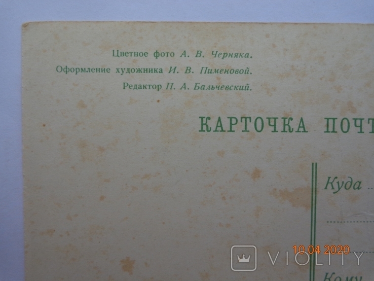 Вітальна листівка "З Новим роком!" (фото А. Черняка, І. Піменова, 1966), чистий, фото №4