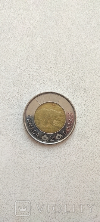 2 доллара 2012 г. Канада., фото №3