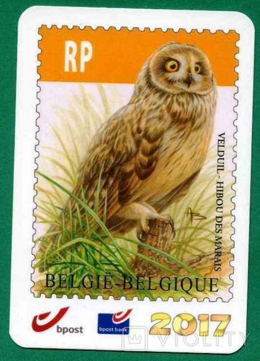 Фауна птах сова марка філателія Бельгія, фото №2