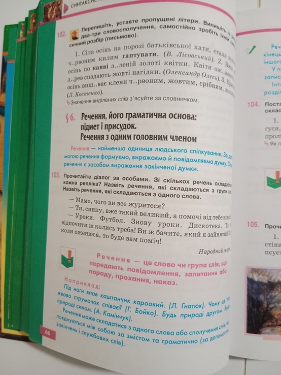 Олександра Глазова, Юрій Кузнецов " Рідна мова 5 клас", фото №9