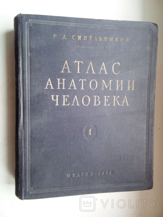 Атлас анатомии человека,том1,авт.Р.Д.Синельников,1952 рік, фото №2