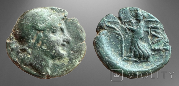 Troas Ilion 159-119 гг до н.э. (72.12), фото №2
