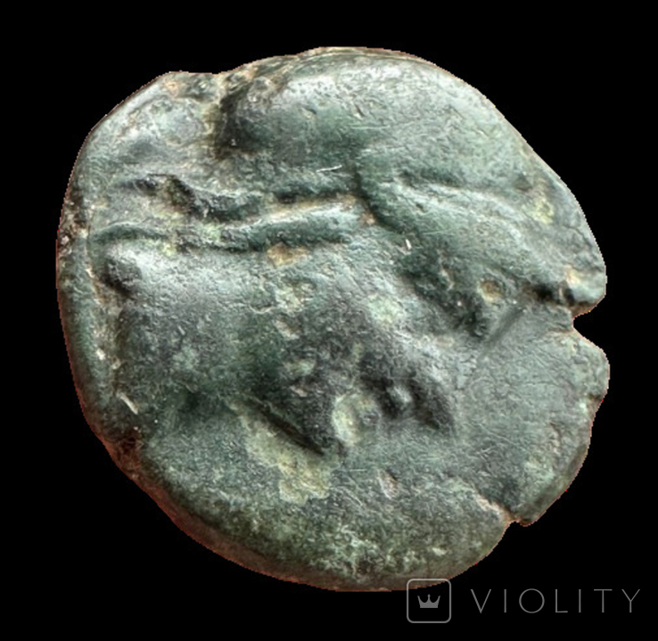 Troas Ilion 159-119 гг до н.э. (72.12), фото №4
