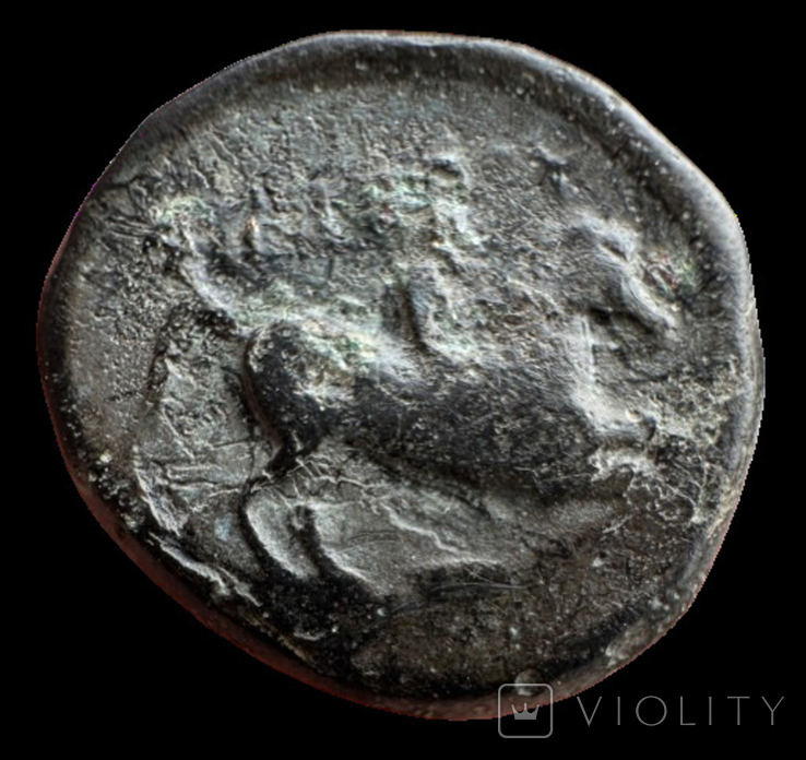 Македония Филипп II 389-294 гг до н.э. (72.9), фото №5