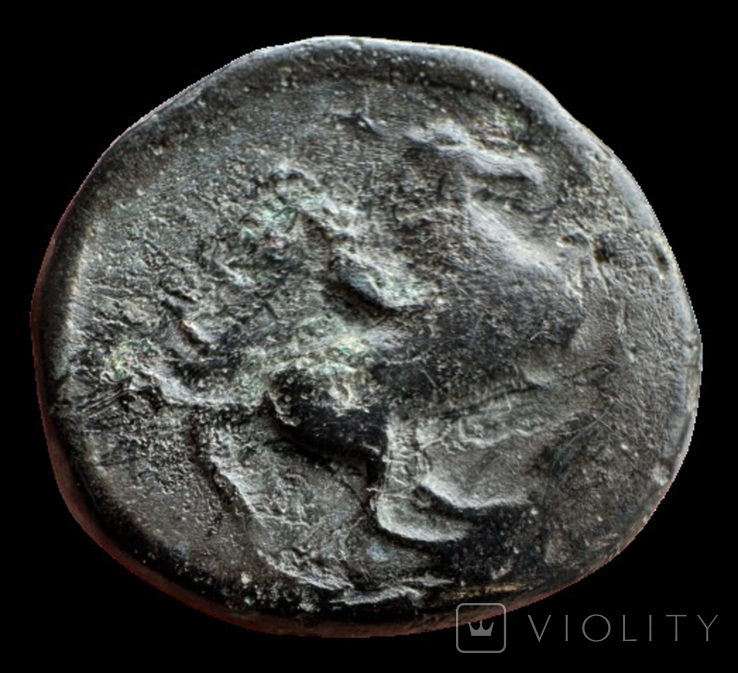 Македония Филипп II 389-294 гг до н.э. (72.9), фото №6