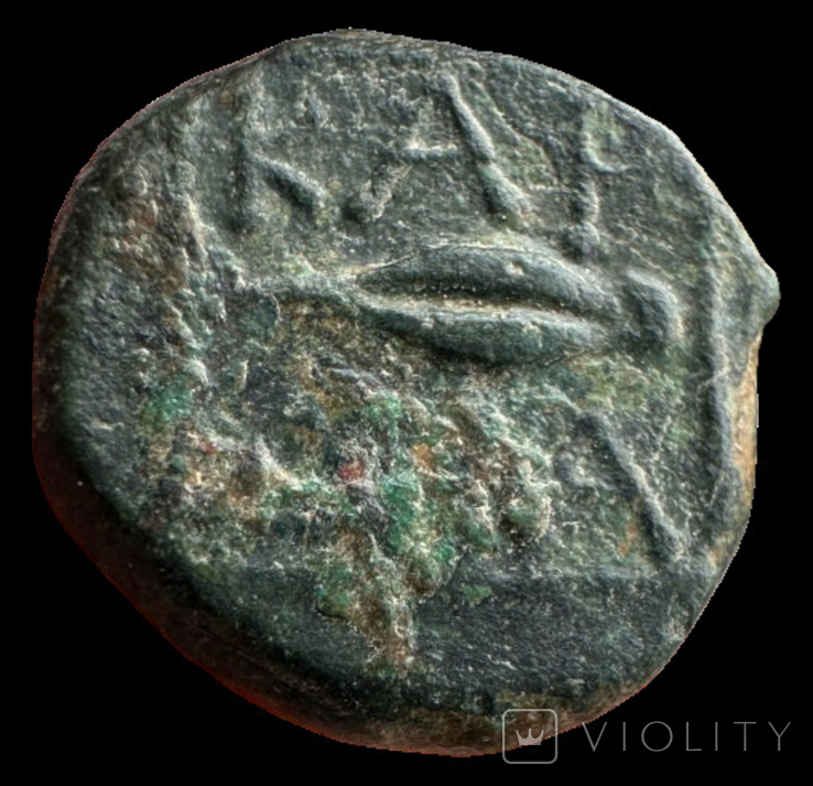Thrace Kardia 357-309 гг до н.э. (72.4), фото №6