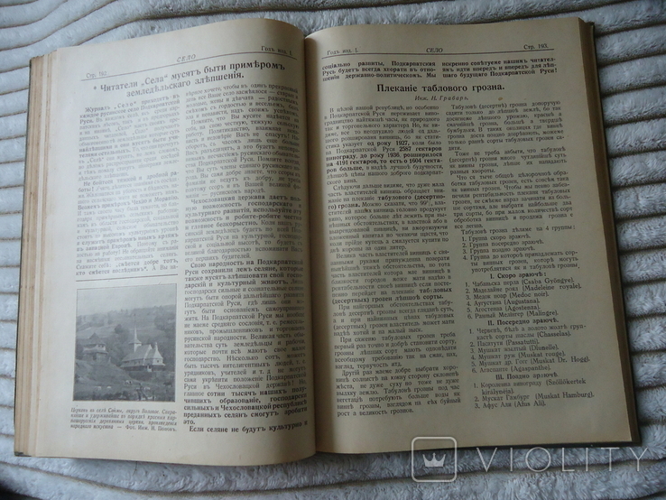 Закарпаття 1937 р село річник, фото №6