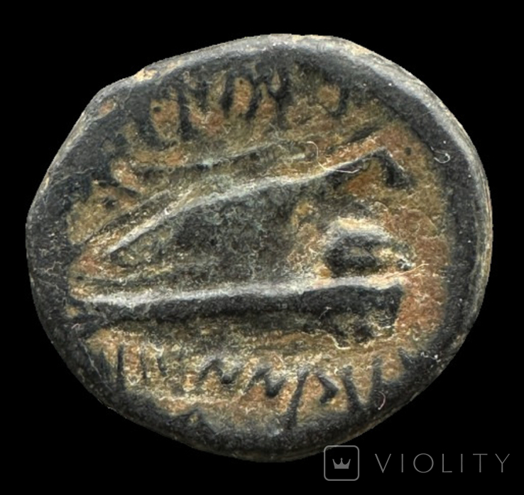 Phoenicia Arados 135-134 гг до н.э. (66.18), фото №4
