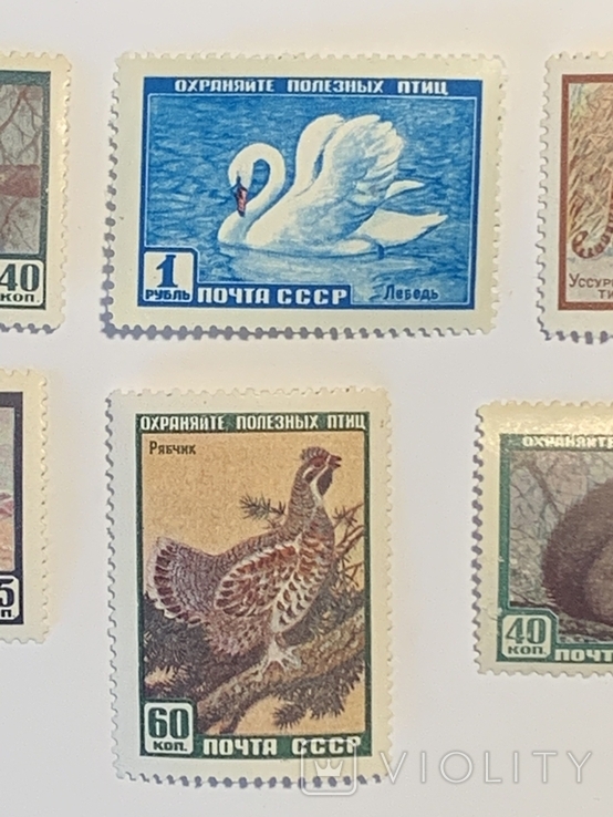 Полная серия марок Фауна СССР 1959г, фото №4